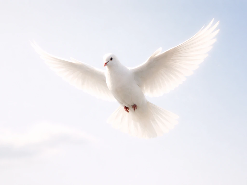 A white dove in flight against a soft sky, evoking peace and biblical prophecy.