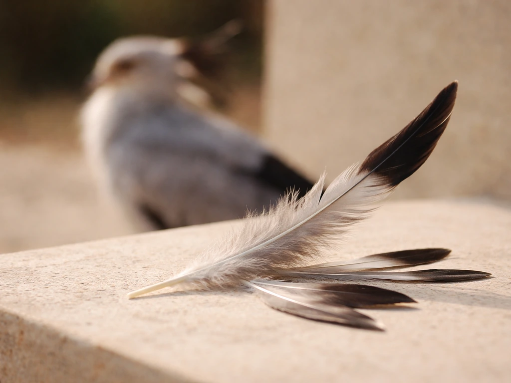Close-up of a secretary bird feather beside quill-like feathers, symbolizing shared naming metaphor across languages.